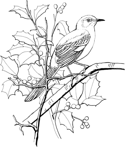 Northern Mockingbird Perched On A Tree Coloring Page